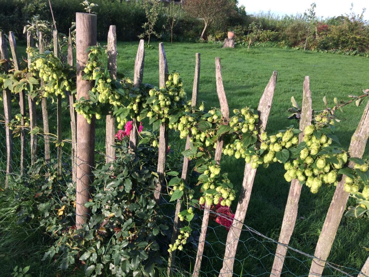 Bed & Breakfast 5 Min From E47 - Dogs Welcome - Cosy Farm Bnb Tureby Εξωτερικό φωτογραφία
