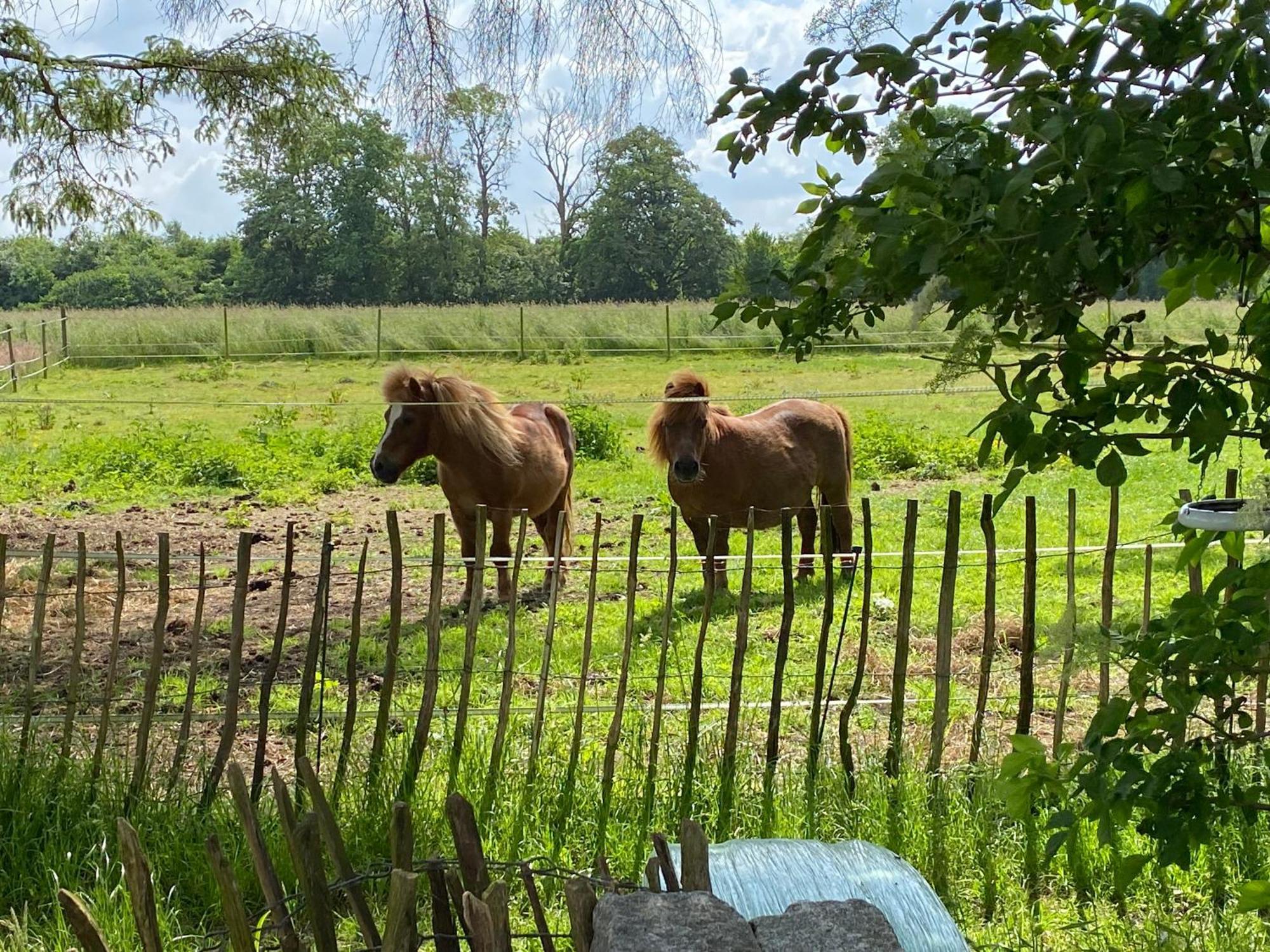 Bed & Breakfast 5 Min From E47 - Dogs Welcome - Cosy Farm Bnb Tureby Εξωτερικό φωτογραφία